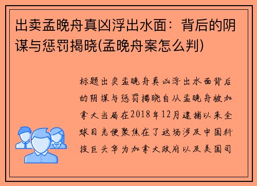 出卖孟晚舟真凶浮出水面：背后的阴谋与惩罚揭晓(孟晚舟案怎么判)