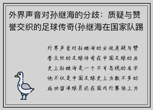 外界声音对孙继海的分歧：质疑与赞誉交织的足球传奇(孙继海在国家队踢什么位置)