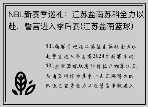 NBL新赛季巡礼：江苏盐南苏科全力以赴，誓言进入季后赛(江苏盐南篮球)